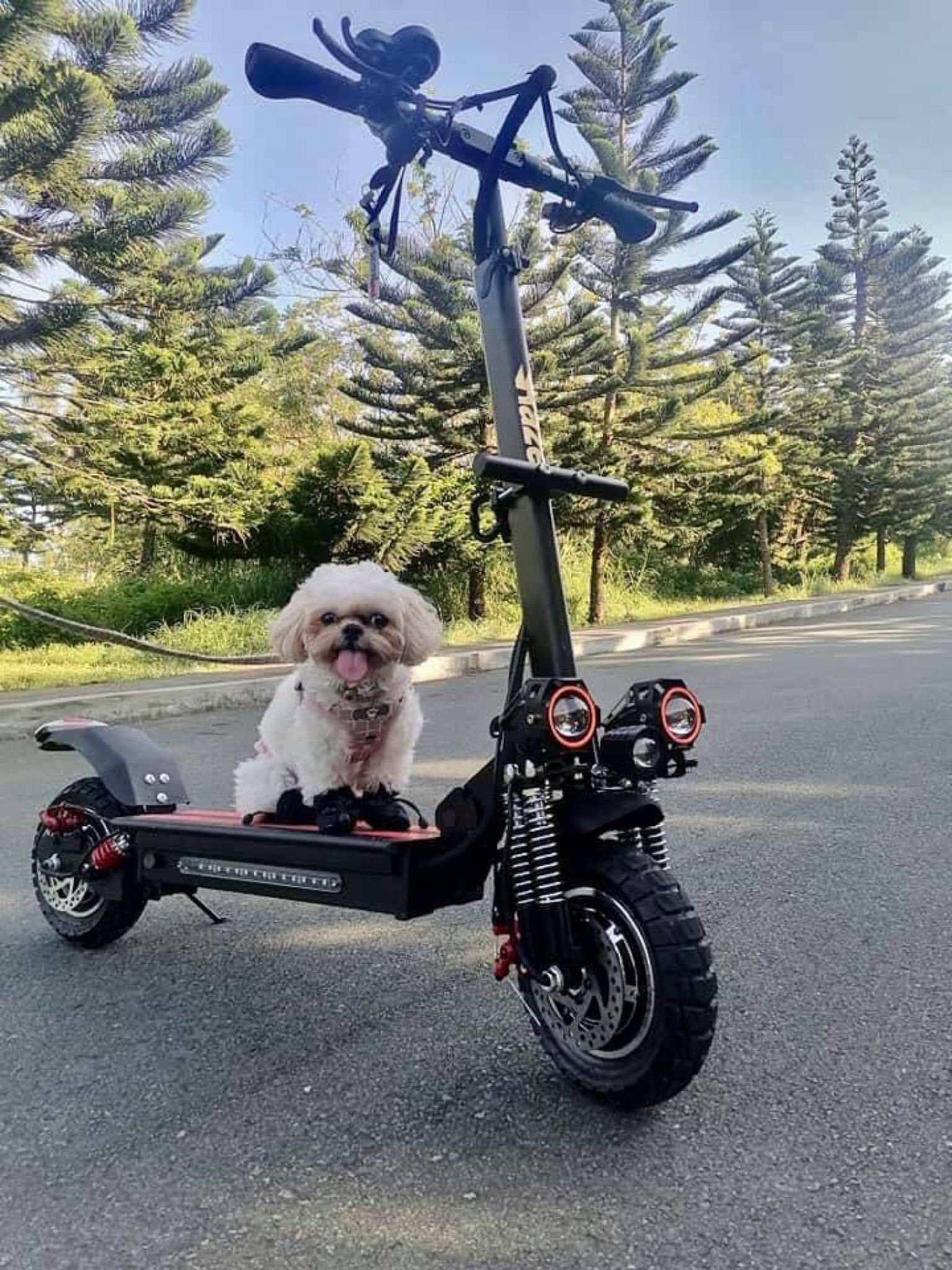 Motur Featured Pic 3