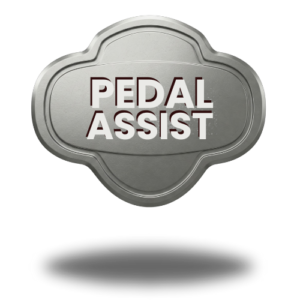 Pedal assist